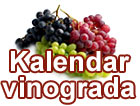 Kalendar vinograda